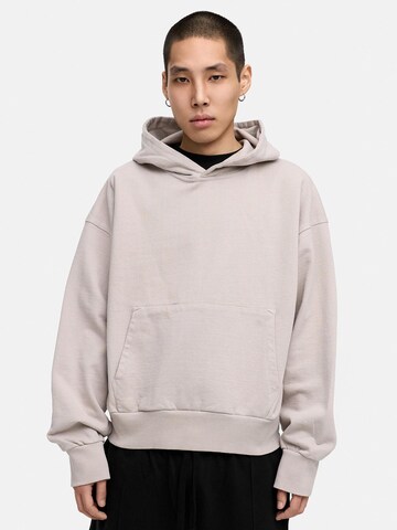 Daily Cotton Sweatshirt 'DCHILO' in Grey: front