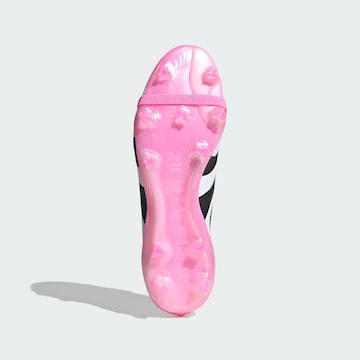 Chaussure de foot 'Predator Elite' ADIDAS PERFORMANCE en rose