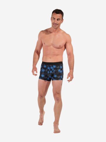 Boxers ' Keywest ' HOM en bleu