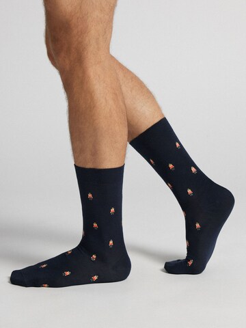 INTIMISSIMI Socks in Blue: front