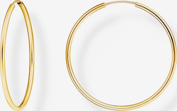 Thomas Sabo Ohrringe in Gold: Vorderseite