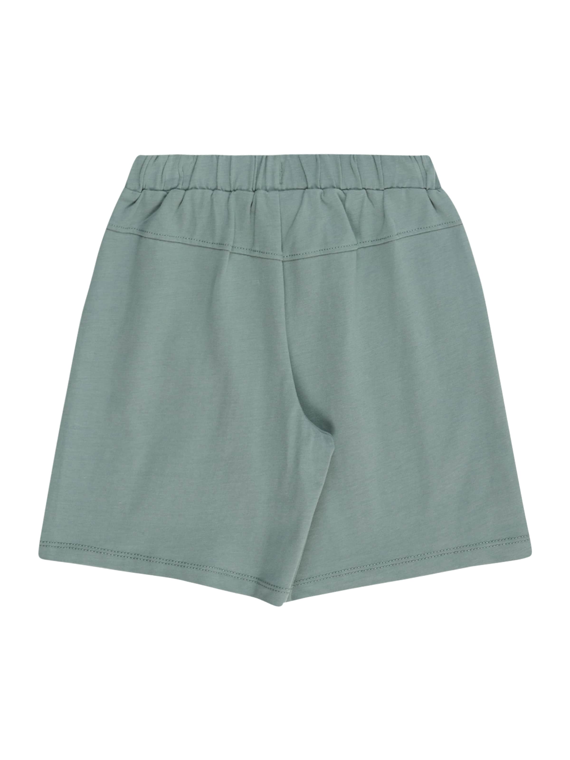 s.Oliver Regular Broek in Groen