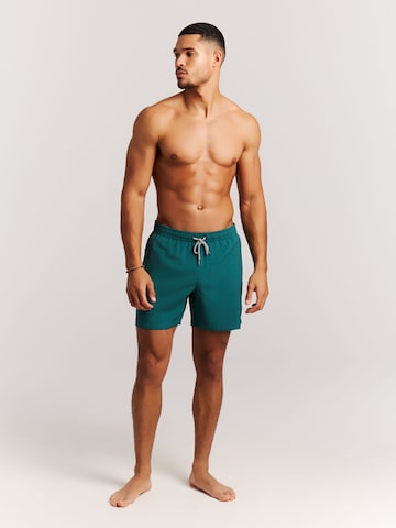 PROTEST Badeshorts 'Davey'‌‌‌‌‌ in Grün