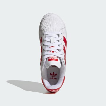 Baskets ' Superstar XLG' ADIDAS ORIGINALS en blanc