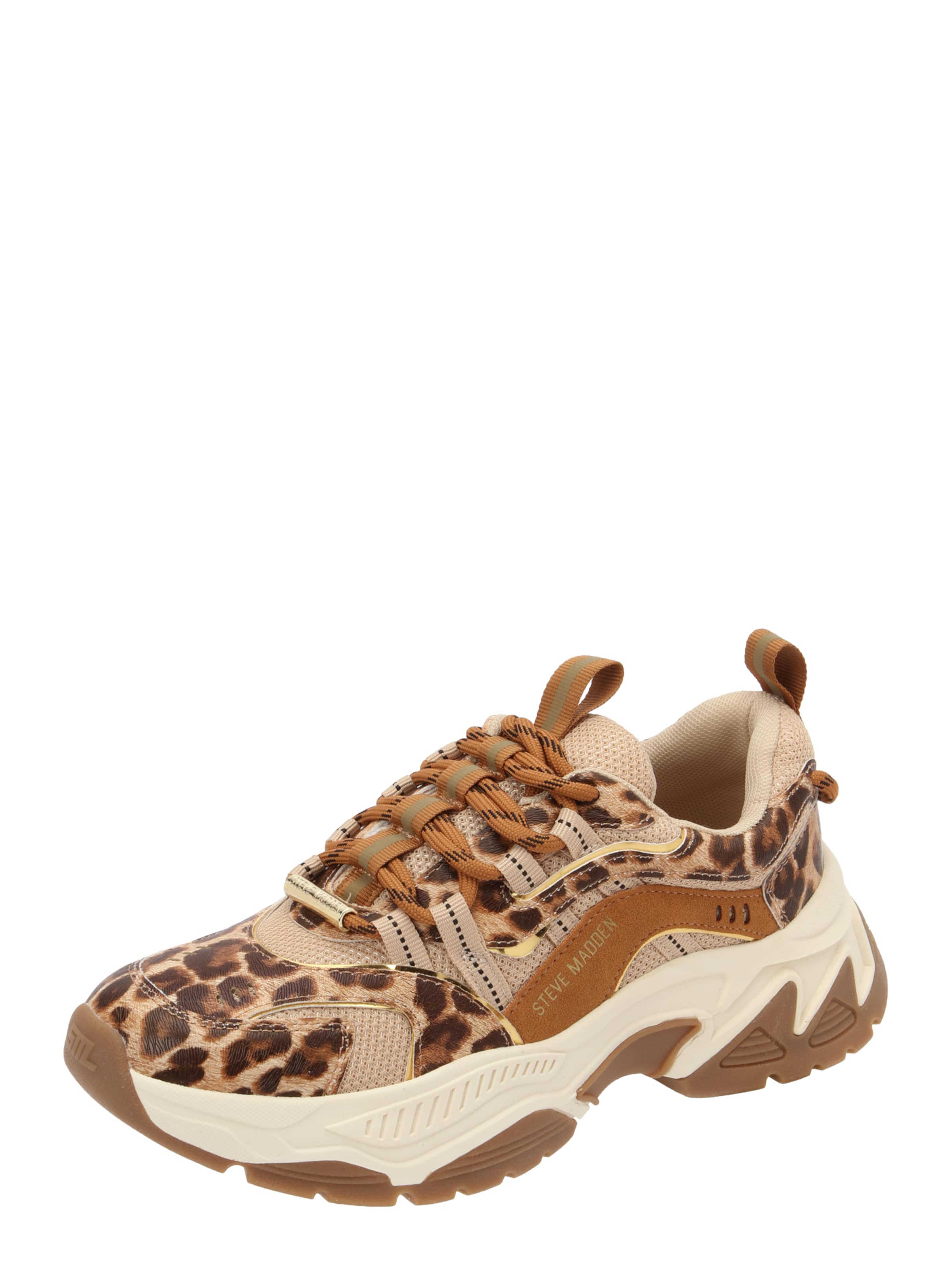 STEVE MADDEN Sneaker 'Animates-LE' in Braun: Vorderseite
