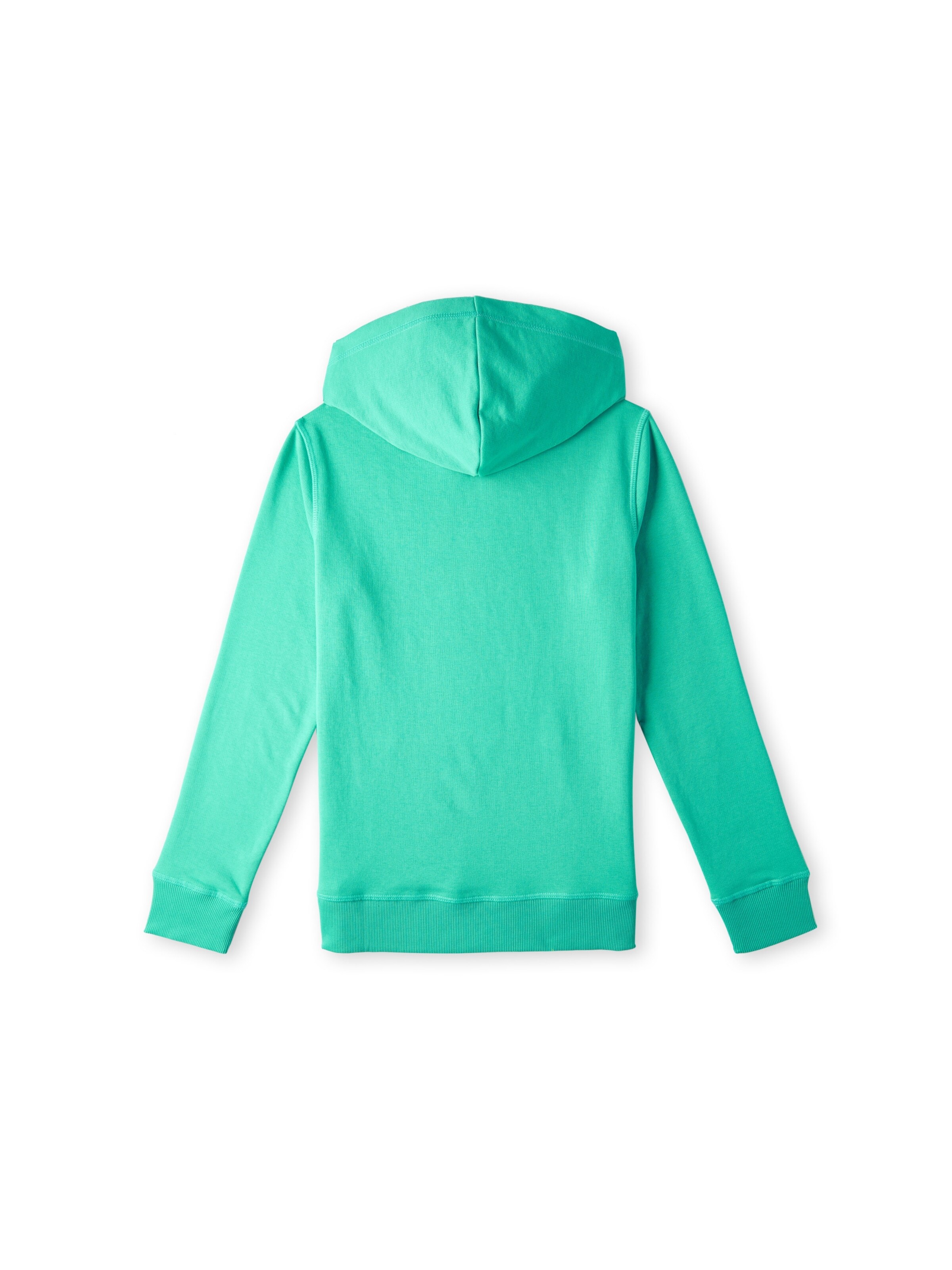 O'NEILL Sweatshirt in Green