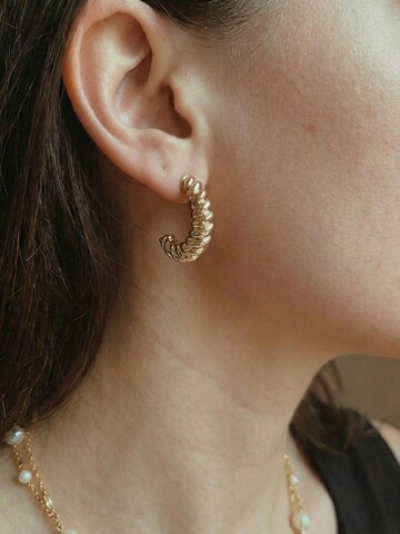 Kamakula Earrings 'Twisted Croissant' in Gold