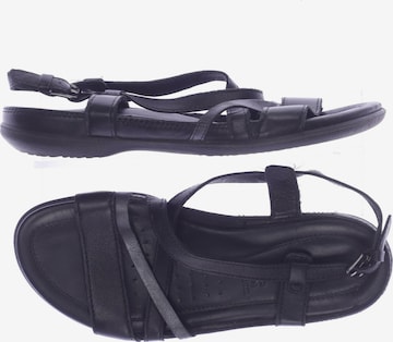 ECCO Sandals & High-Heeled Sandals in 36 in Black: front