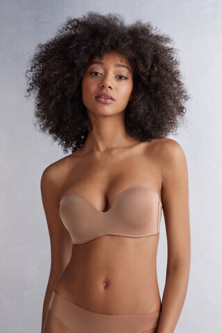 INTIMISSIMI Bandeau Bra in Brown: front