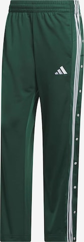 žalia ADIDAS SPORTSWEAR Standartinis Sportinės kelnės: priekis