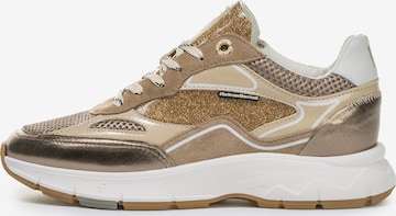 Floris van Bommel Sneaker 'Daysi 01' in Braun: Vorderseite