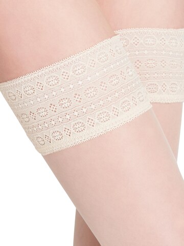 FALKE Fine Stockings 'Seidenglatt' in Beige