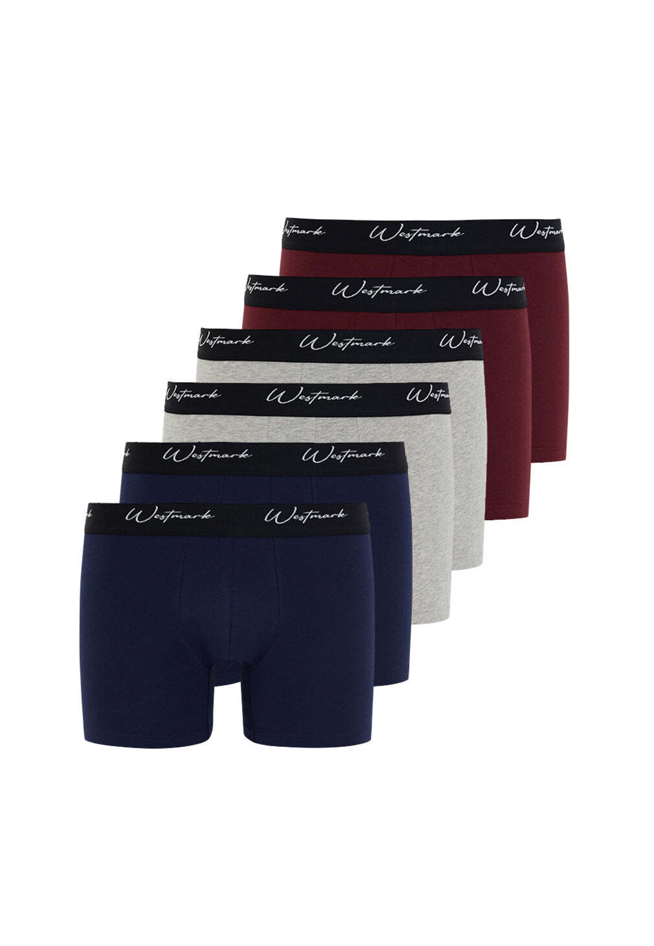 WESTMARK LONDON Boxershorts 'Lucas' in Blauw: voorkant