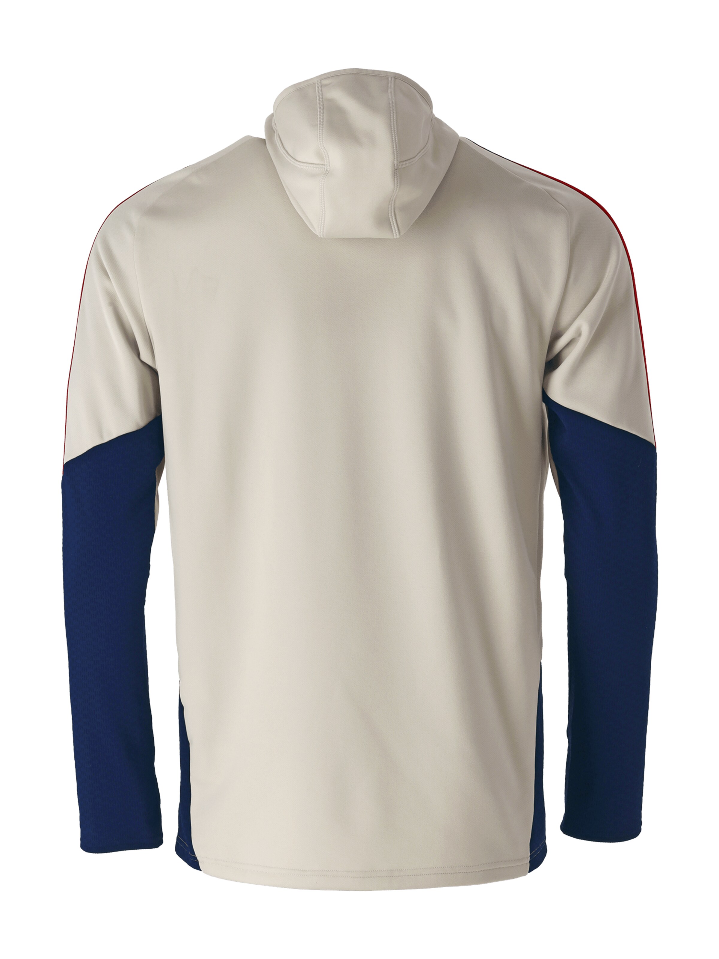 ADIDAS PERFORMANCE Performance Shirt in White