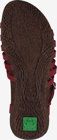 EL NATURALISTA Sandalen met riem in Rood