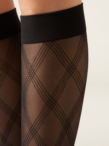 CALZEDONIA Strümpfe in Schwarz