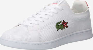 LACOSTE - Sapatilhas baixas 'CARNABY' em branco: frente