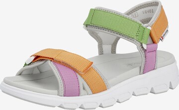 Rieker EVOLUTION Sandals in Mixed colors: front