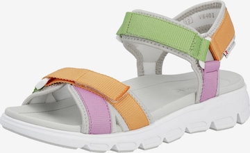 Rieker EVOLUTION Sandals in Mixed colors: front