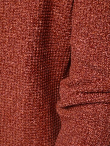 Pull-over Nils Sundström en marron