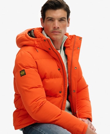 Superdry Winterjas 'Everest' in Oranje