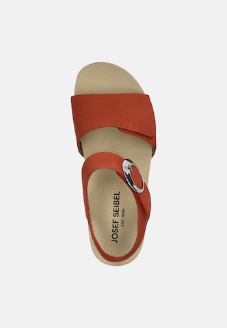 JOSEF SEIBEL Sandaal 'QUINN 16' in Rood