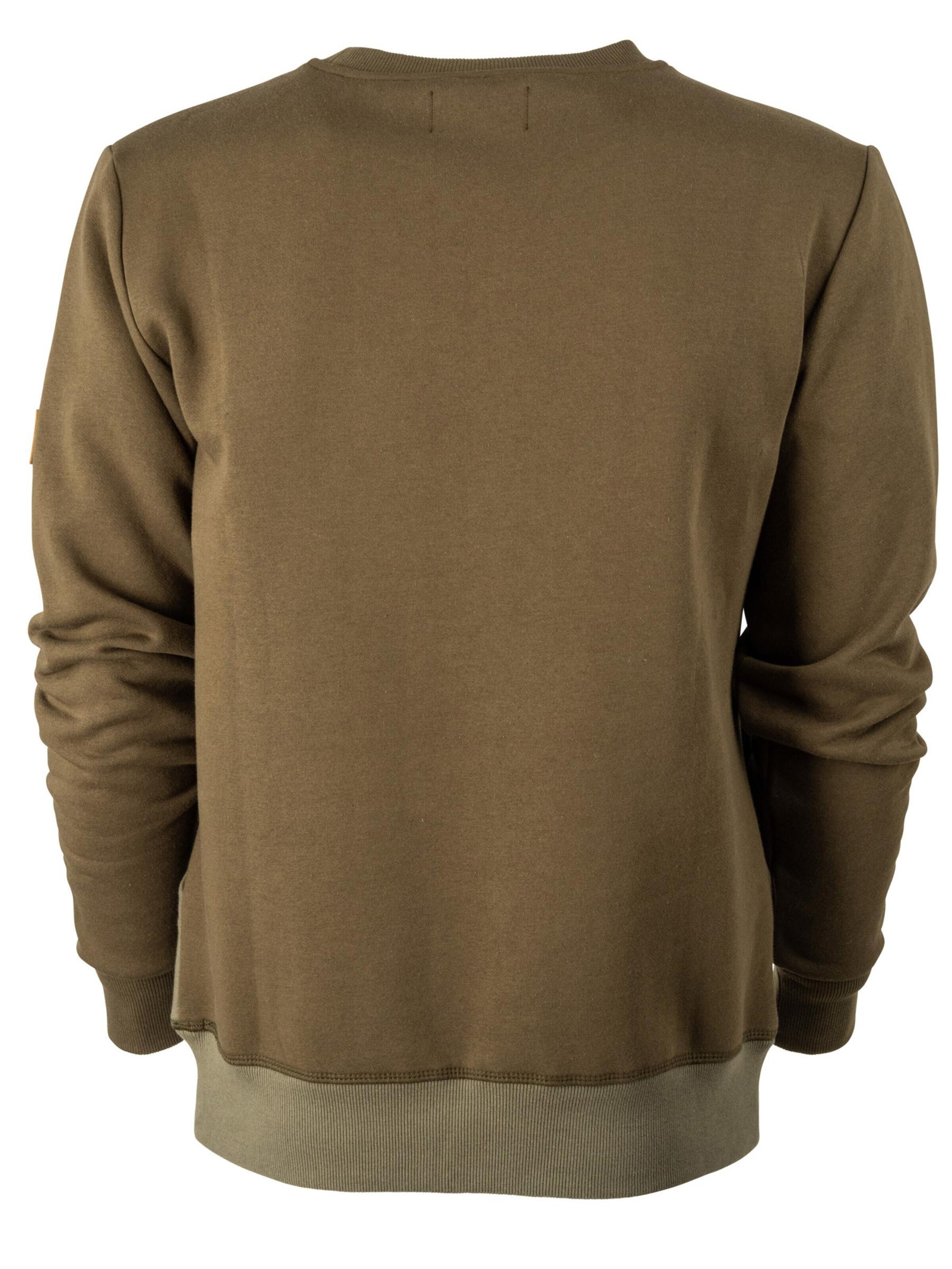 FORSBERG Sweatshirt 'Alvarson Sweatshirt' in Green
