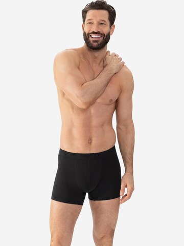Mey Boxer shorts 'Comfort Cotton' in Black
