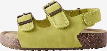 Next Avonaiset kengät värissä vihreä: etupuoli