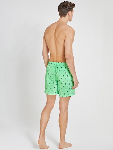 Shorts de bain Shiwi en vert