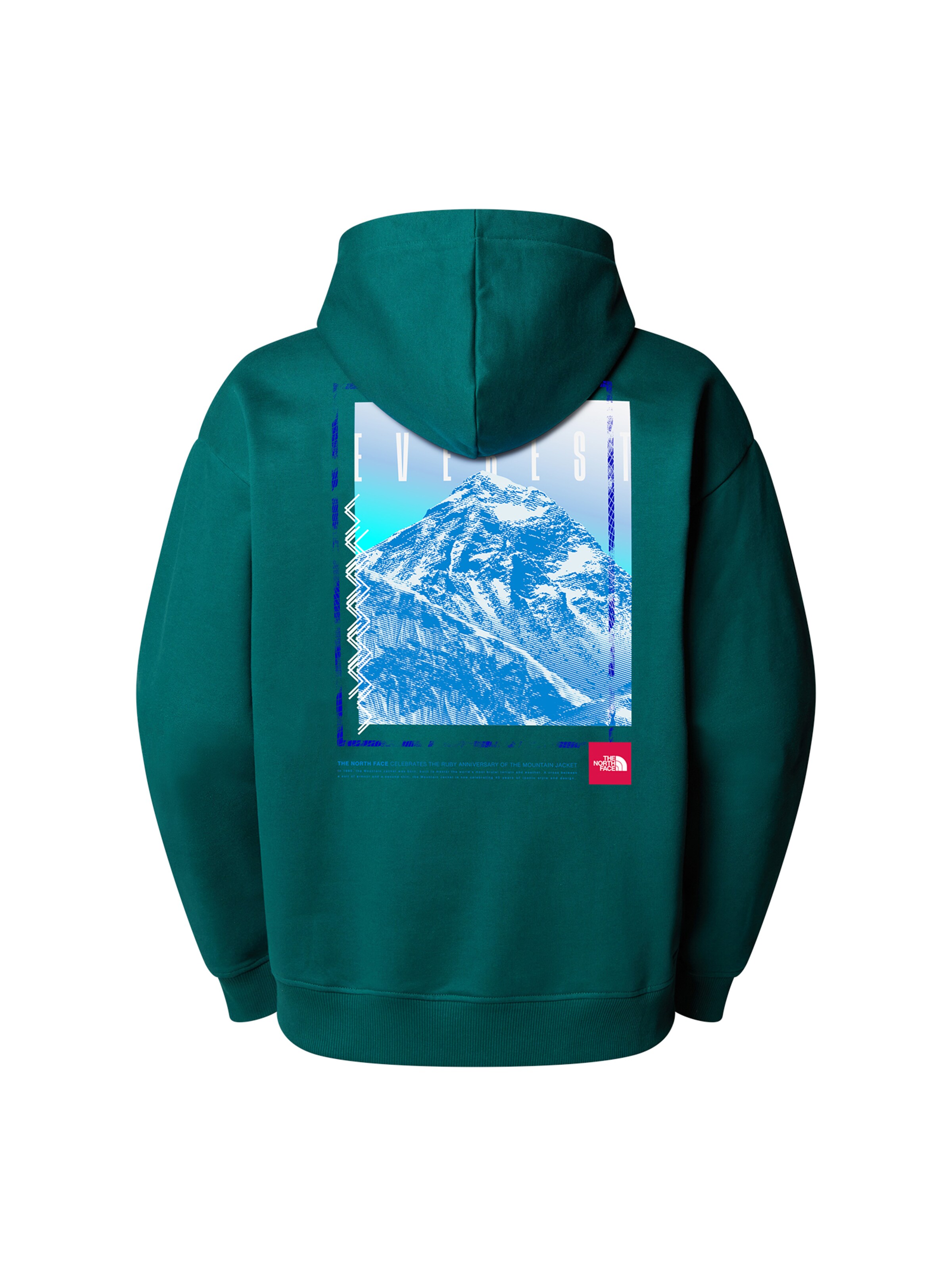 THE NORTH FACE Mikina 'Axys' – zelená