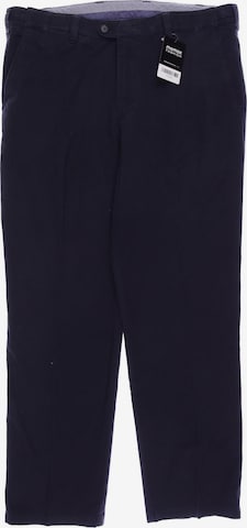 Walbusch Pants in 26 in Blue: front