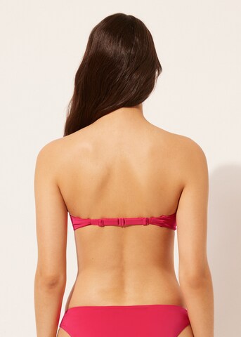 CALZEDONIA Bandeau Bikinitop 'INDONESIA' in Pink