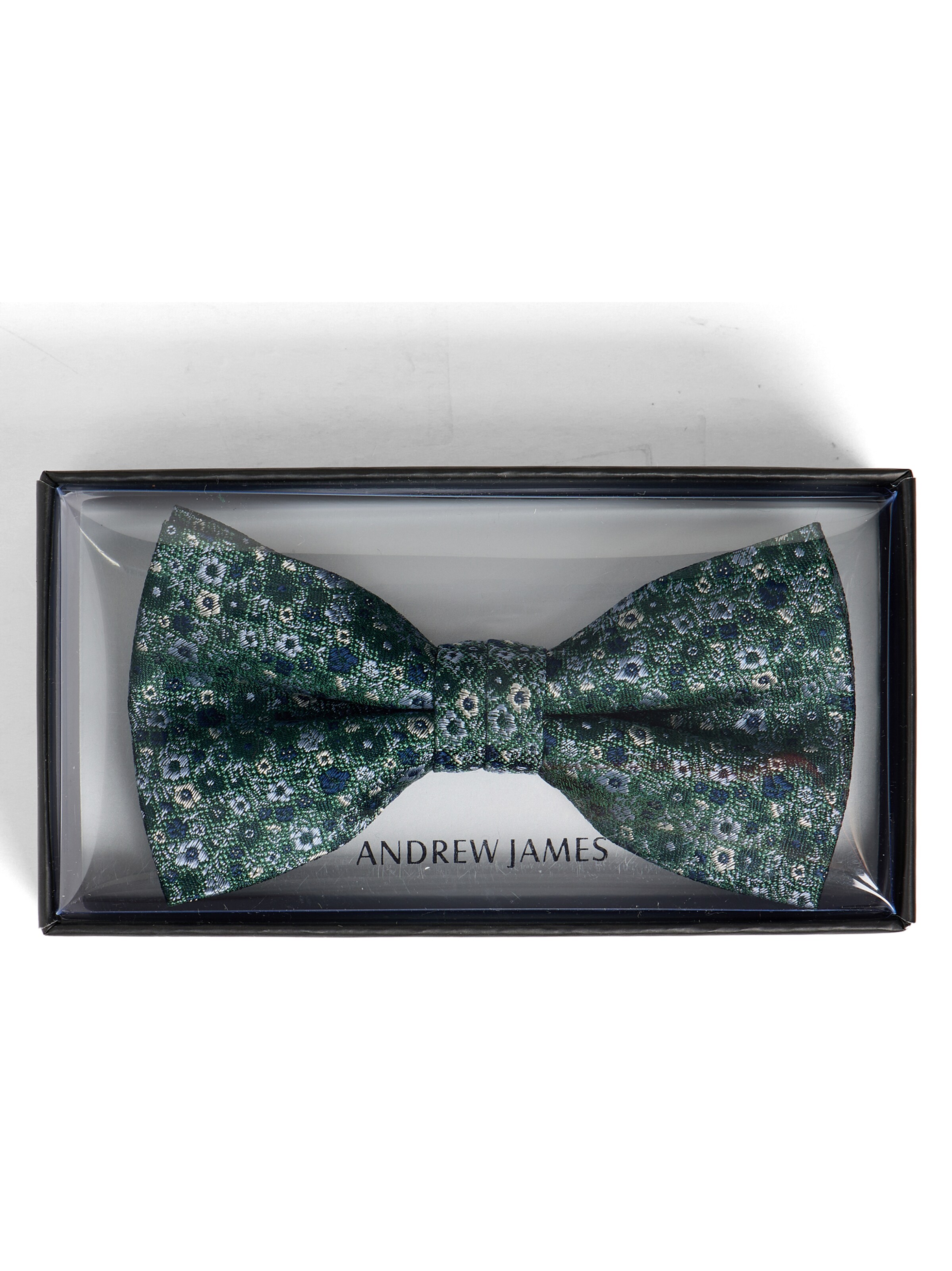 Andrew James Bow Tie in Green