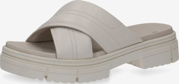 CAPRICE Mules in Grey: front