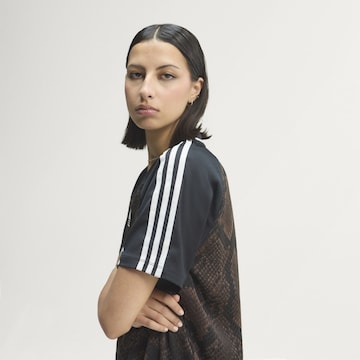 ADIDAS ORIGINALS Μπλουζάκι σε καφέ