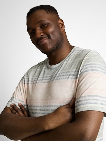 TOM TAILOR Men + Shirt in Grey