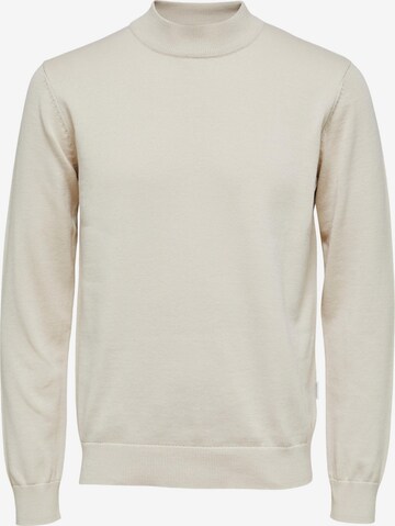 Pull-over 'Robert' SELECTED en beige : devant