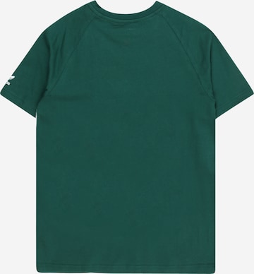Maglietta di ADIDAS ORIGINALS in verde