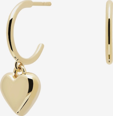 Boucles d'oreilles P D PAOLA en or : devant