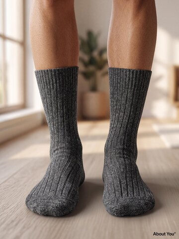 sockenkauf24 Skarpety 'Norweger Wollsocken' w kolorze szary