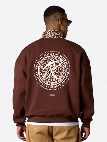 Felpa ' Leo Aesthetics Oversized Halfzip ' di ESTEEM in marrone