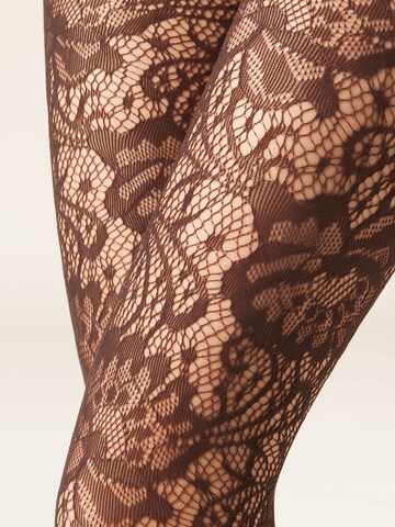 CALZEDONIA Tights in Brown