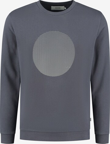 Sweat-shirt Shiwi en gris : devant