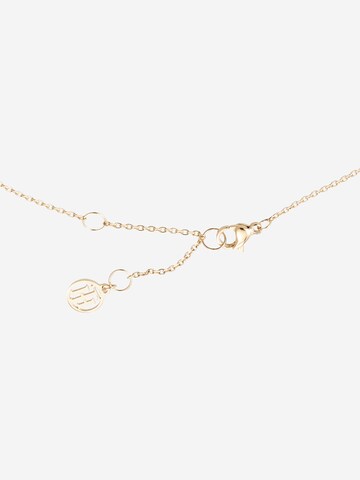 TOMMY HILFIGER Ketting in Goud