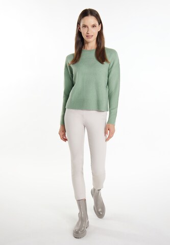 usha WHITE LABEL Sweater in Green