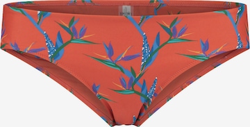 Pantaloncini per bikini di Shiwi in arancione: frontale