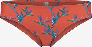 Shiwi Bikinitrusse i orange: forside