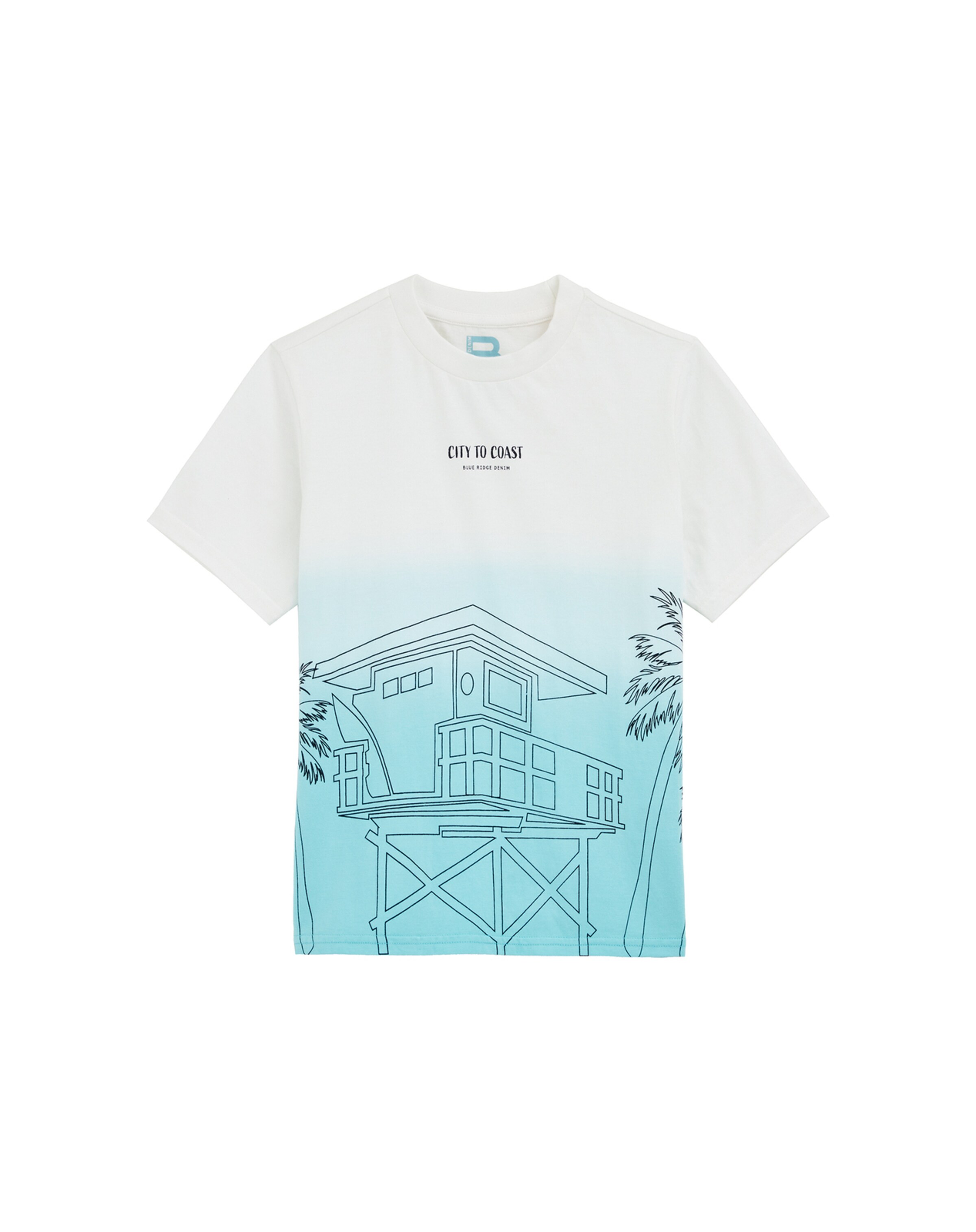 WE Fashion Shirt in Blauw: voorkant