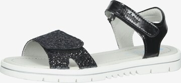 Richter Schuhe Sandals in Black: front